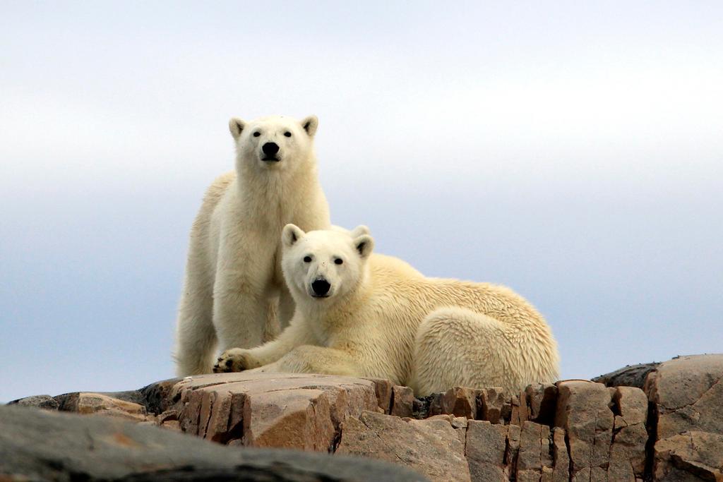 Radisson Blu Polar Hotel, Spitsbergen Лонг'їр Екстер'єр фото